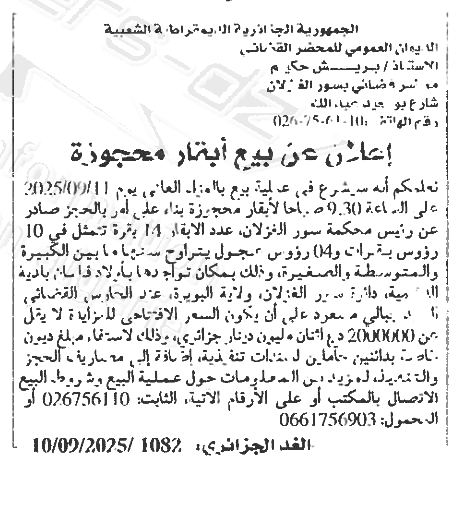 La capture est en cour de traitement. Merci de votre patience