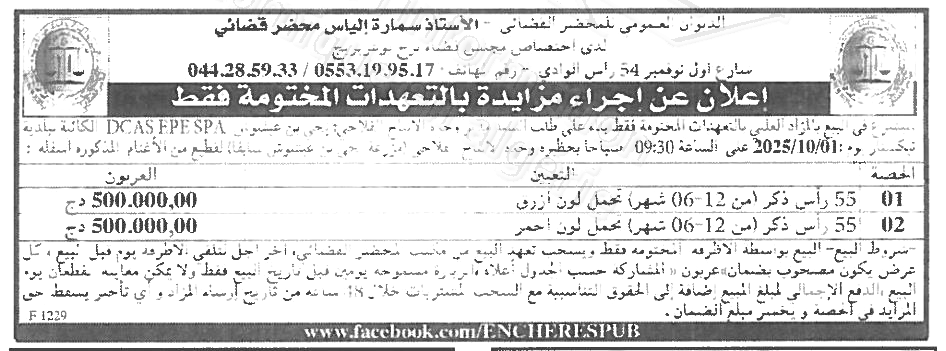 La capture est en cour de traitement. Merci de votre patience