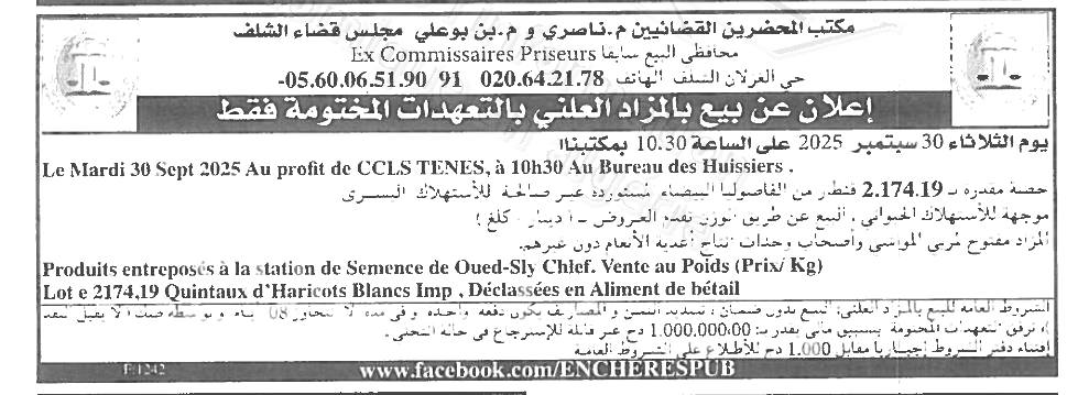 La capture est en cour de traitement. Merci de votre patience