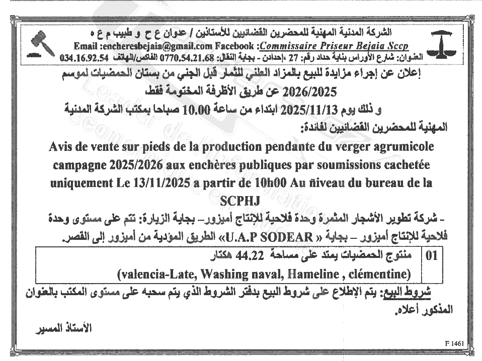 La capture est en cour de traitement. Merci de votre patience